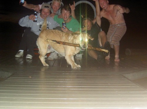 The Signs As Cursed Images