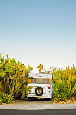 ccsix: Winnebago in cacti, Vacaville CA