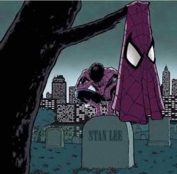 olderboy-aesthethic: RIP  stan lee 