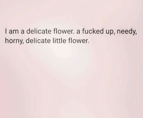 I call myself a delicate flower aaaaaall the time and this is what I really mean