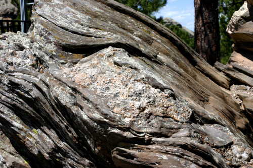 Flowing rocks This outcrop is found in South Dakota near Mt. Rushmore. The darker rock is a metamorp