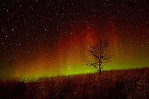 brutalgeneration:  Northern Lights (by Jeff Rennicke) 