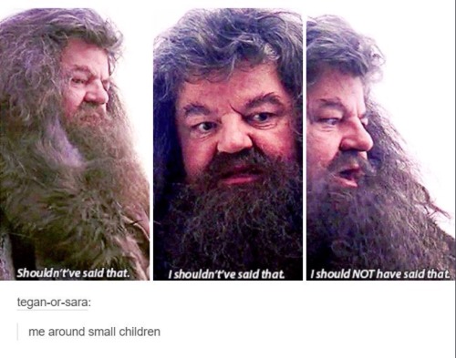 weasleys-potter: The times I fell in love with Harry Potter tumblr post