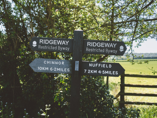 Ridgeway National Trail, Oxfordshire, England