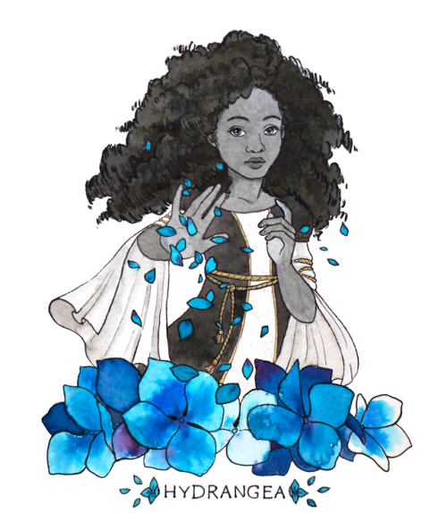 Hydrangea SorcererThis concludes my Inktober series! Reminder that all the original illustratio