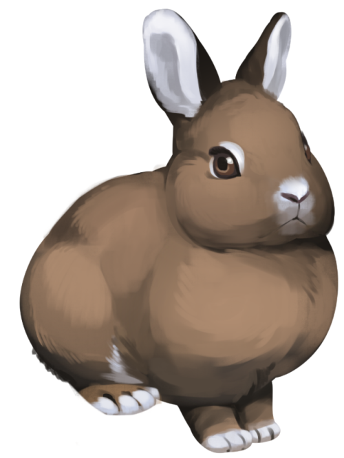 Rabbit concept that got scrapped, so I’ll share it here