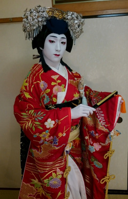 tanuki kimono