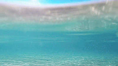 Under the sea 💦 on We Heart It - http://weheartit.com/s/tjudoxHQ 