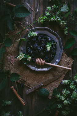 sweetoothgirl:  mareofthesea:  theoccultowl:  babygirlssweetsurrender:  sweetoothgirl:    Oregano Honey Cake With Blackberry Buttercream    :-D  chills  Yeah i’m going to have to make this.  Bake away little one