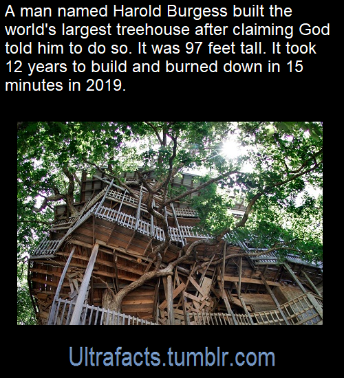 Ultrafacts:  Source: [X]Click Here For More Facts!