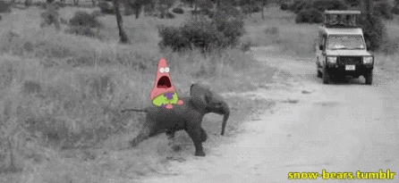 lolzpicx:   