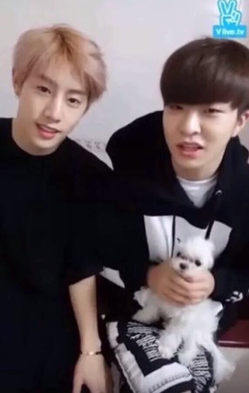 Pray For My Girl Coco She Aint Dead But She Might Choke If Those Idiots Keep Holding Her Like This