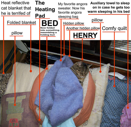 The Anatomy of Henry’s bed (by Kristi Smart AKA ManicManx)