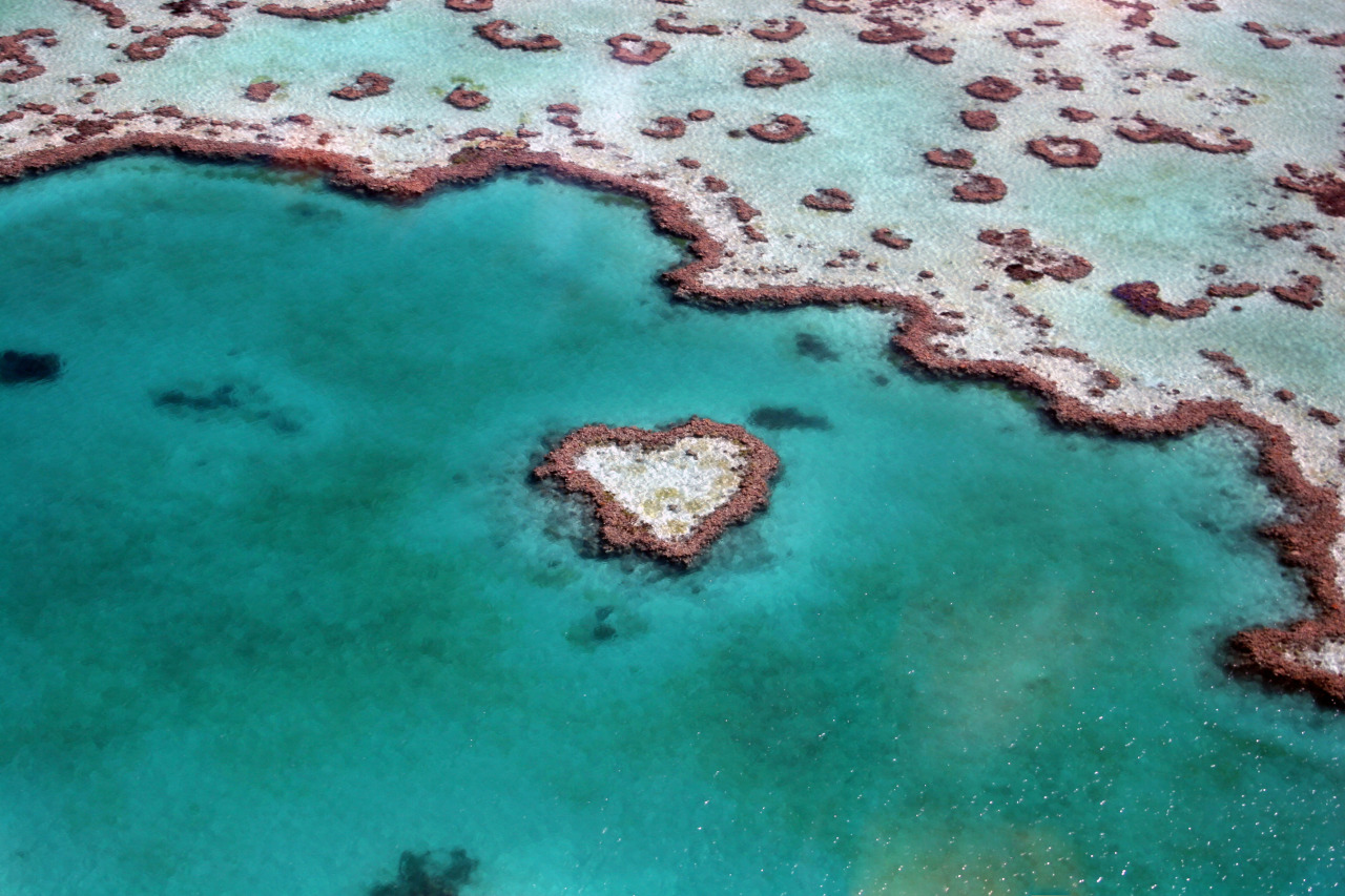 Eternal love (Heart’s Reef, a natural coral formation on the Great Barrier Reef