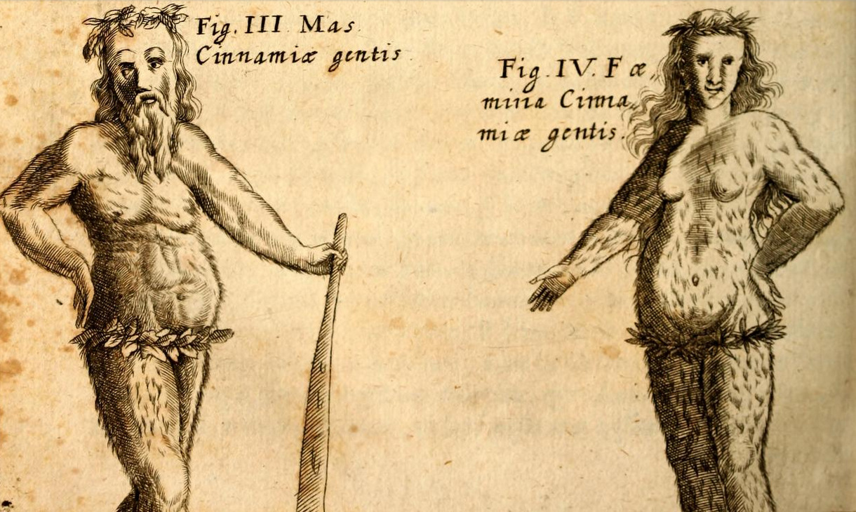 magictransistor: Gaspar Schott. Physica Curiosa, Mirabilia Naturæ et Artis. 1662.