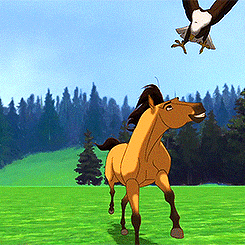 I Had Been Waiting So Long To Run Free, But That Good-bye Was Harder Than I Ever Imagined. I'll Never