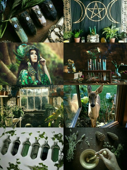 kinstethic:  Green Witch aesthetic