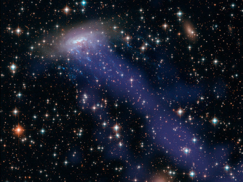 Spiral galaxy ESO 137-001 hurtles through massive galaxy cluster Abell 3627 some 220 million light y