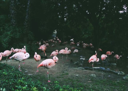 danielodowd:  ashleycorin