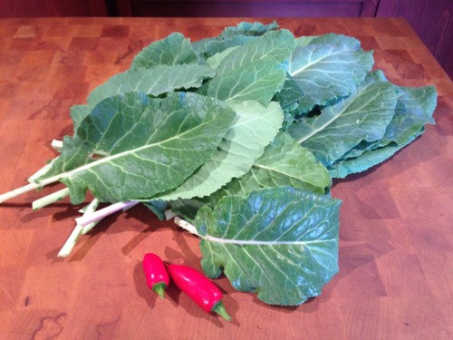 A little trim of my collard tree gave us a nice bowl of collards for New Year&rsquo;s Day. Collard g