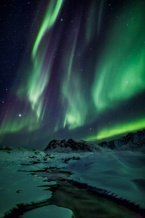 Aurora Borealis in Greenland