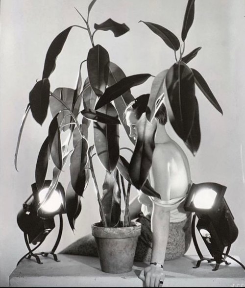 Moradadabeleza:dora Maar, 1930’S.