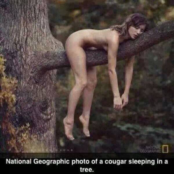 searchingfortheline:  Hah, this is great! Really got me laughing.  :D