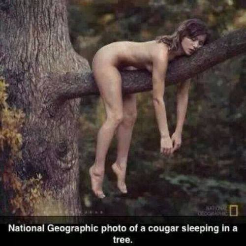searchingfortheline:  Hah, this is great! Really got me laughing.  :D