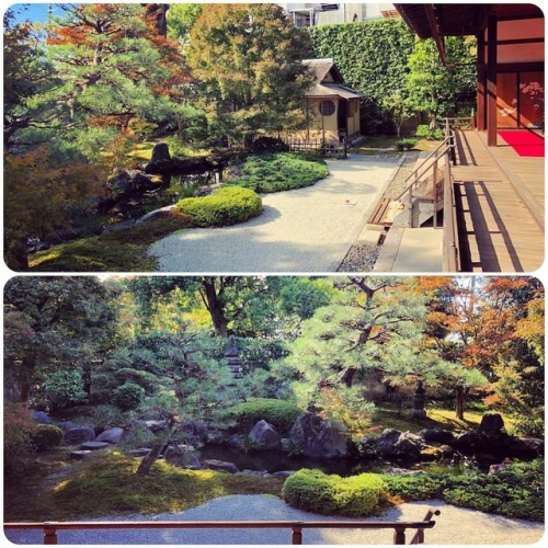＼おにわさん更新情報／ ‪[ 京都市東山区 ] 正伝永源院庭園 Shoden Eigen-in Temple Garden, Gion, Kyoto の写真・記事を更新しました。 ーー織田信長の弟 #