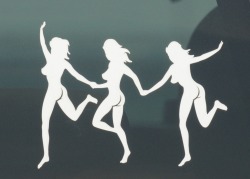 Saw this on a truck window today. I want