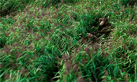 henriscavills:I love you. I’ll wait for you. Come back. Come back to me. Atonement (2007) dir. Joe W