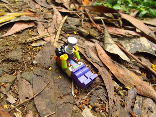 lego photography