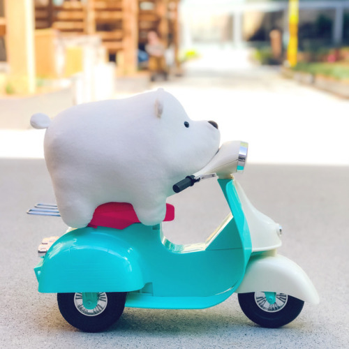 The world isn’t ready for what Ice Bear can do. And the world isn’t ready for this adorb plushie! Pre-order now: http://bit.ly/2nsFrB3