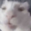 bighairedboi