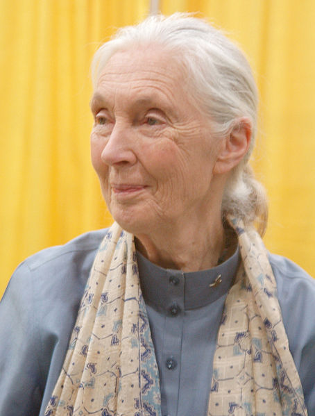 Happy 80th birthday to Jane Goodall adult photos