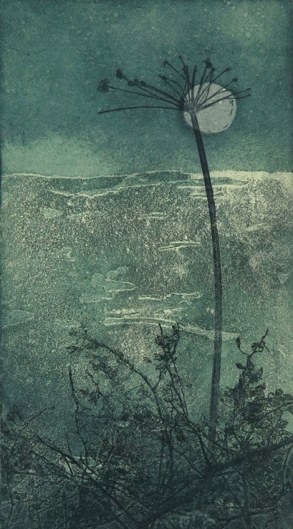 Night   -    Johanna Koistinen, 2016Finnish,b.1956-Aquatine, line etching , 45 x 24.5.