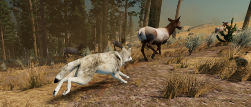 WolfQuest: Anniversary Edition