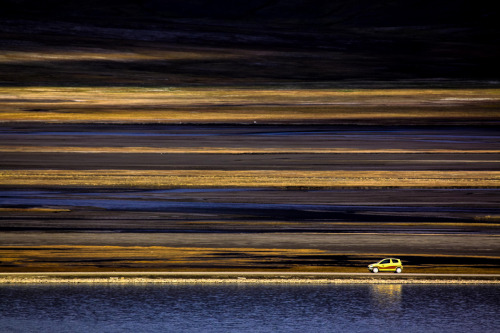 scalesofperception: The Road | Francoise Gaujour Stop and watch the roses. SoP | Scale of Environmen