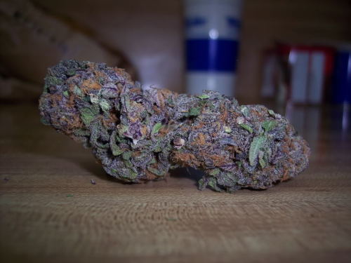 hash-blazing-hasher:  grape fucking ape porn pictures