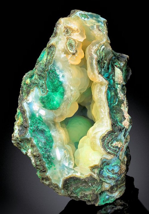 geologyin-blog: Botryoidal layer of Chalcedony over Malachite inside a matrix vug! From the Ray Mine