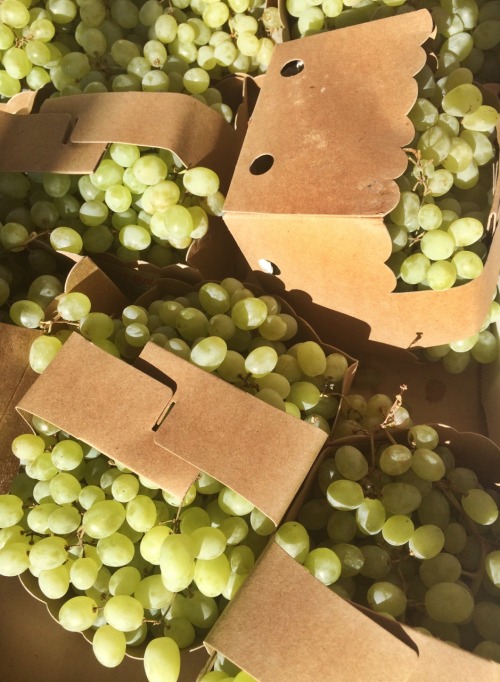 Grapes by the Box