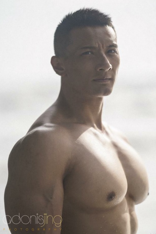 Muscle Perfection
