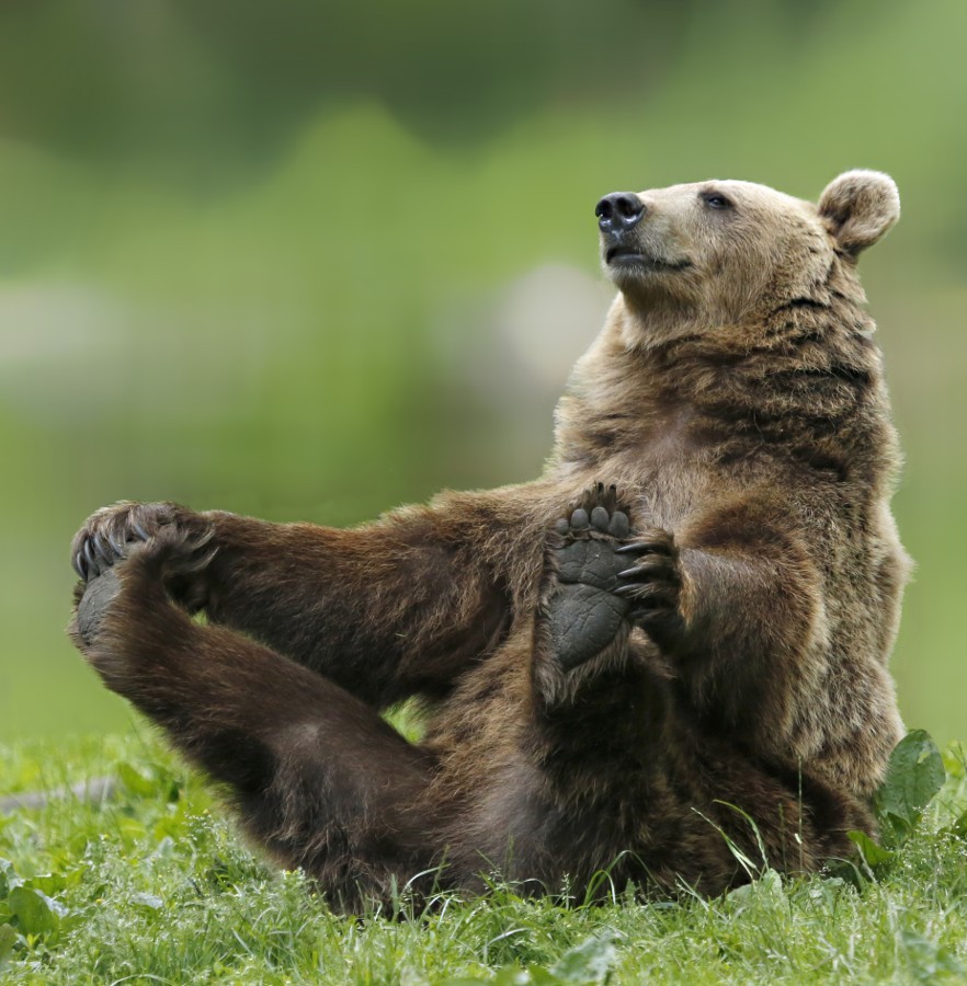 creatures-alive:  morning gym by Jens-Wilhelm Janzen 