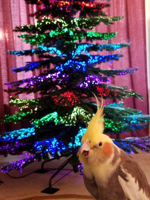 that-musician:Sparky is sooo photogenic