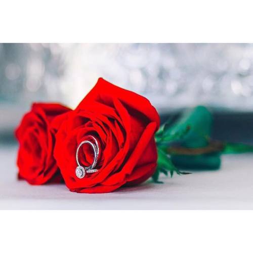 With this ring I thee wed… #wedding #redrose #weddingphotography #weddingbands #withthisring 