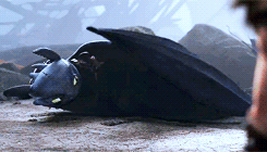 shirehobbit:Dragons Week 2015Day 3 - Favourite Relationship: Hiccup and Toothless