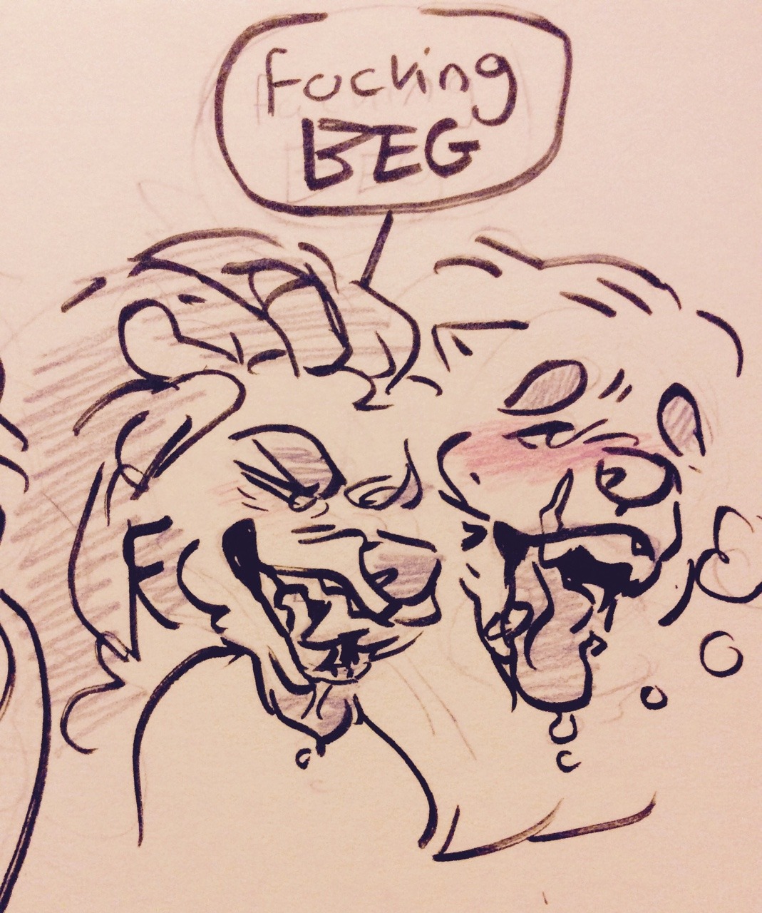 fluffyboobs:  Teeth are ….. very good Bear dude belongs to @veryursaminor, doggo