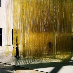 showslow:  Distracting from distractions / Afternoon strolling through #lacma (presso LACMA Los Angeles County Museum of Art)