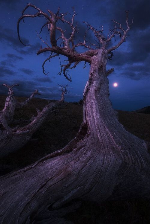 Soul of the Ancients by Nagesh Mahadev on 500px