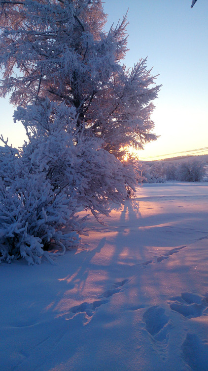 lienwyn - Christmas Eve in Bergnäs. My fingers were stiff from...